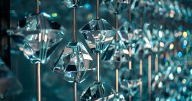 Swarovski 2025