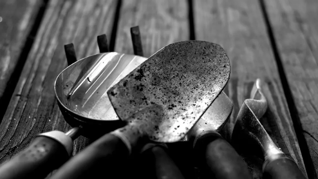 Pflanzschaufel, Handgrubber und Gartenkelle aus Metall mit Griffen auf verwitterter Holzoberfläche, schwarz/weiß dargestellt