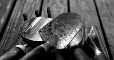 Pflanzschaufel, Handgrubber und Gartenkelle aus Metall mit Griffen auf verwitterter Holzoberfläche, schwarz/weiß dargestellt