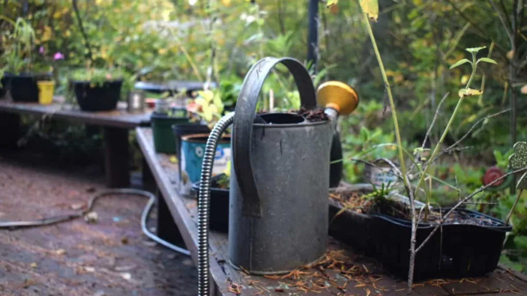 eine Gießkanne steht auf einen Arbeitstisch mit Pflanzgefäßen und Gartenutensilien im Außenbereich