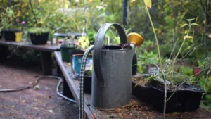 Einhell Gartenwerkzeuge 2025 im Test & Vergleich