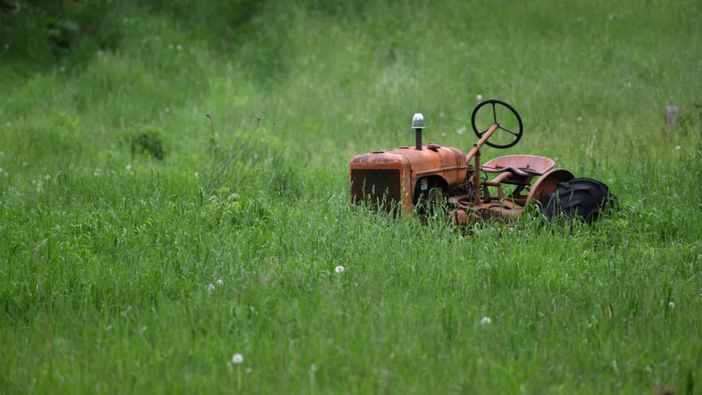 ein kleiner roter Traktor auf hochgewachsenem Rasen