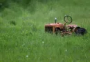 ein kleiner roter Traktor auf hochgewachsenem Rasen