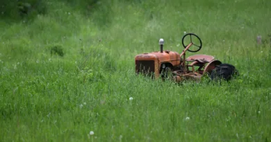 Titelbild Dreame Mähroboter