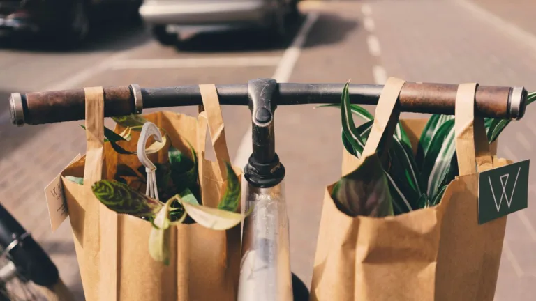 Premium-Fahrradtaschen 2025 – Die 8 besten Modelle