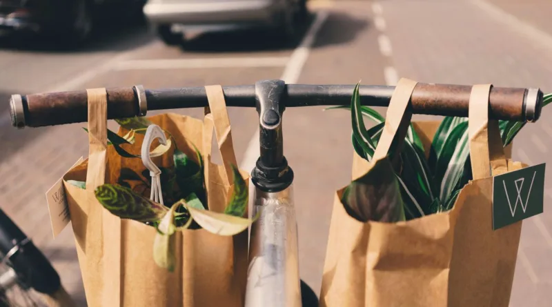 Titelbild Fahrradtaschen