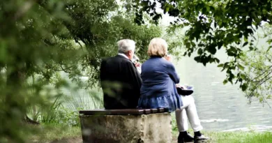 Titelbild Rollatoren