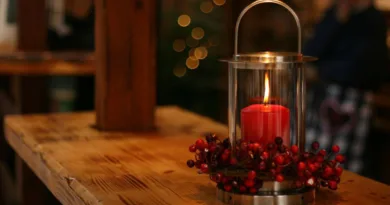 Weihnachtsbäume