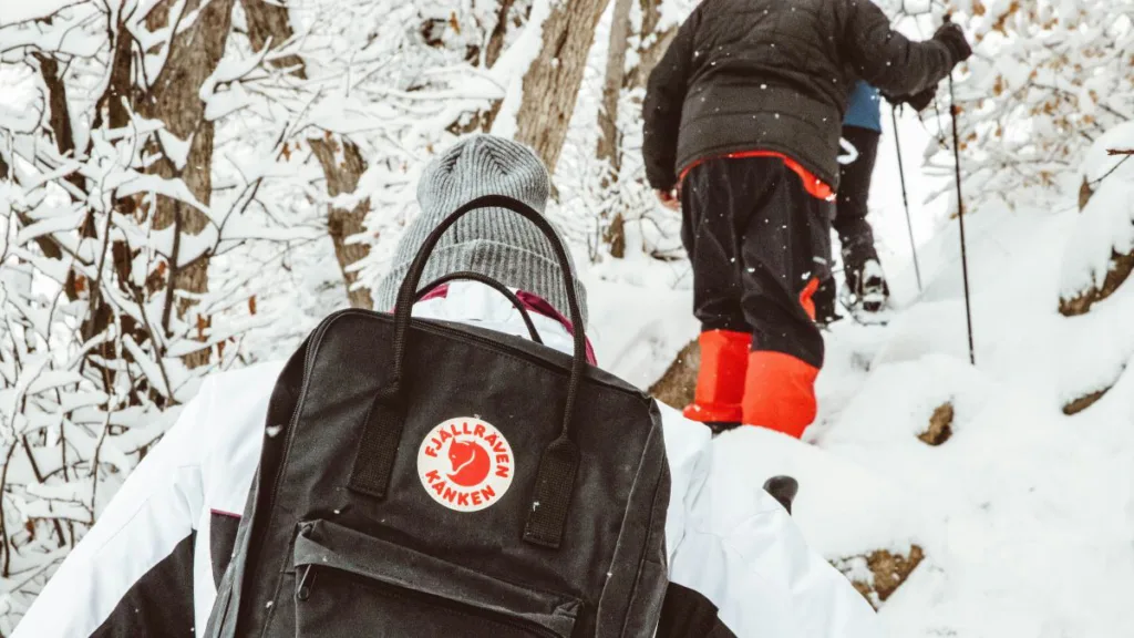 Titelbild Fjällräven