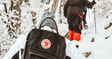 Titelbild Fjällräven