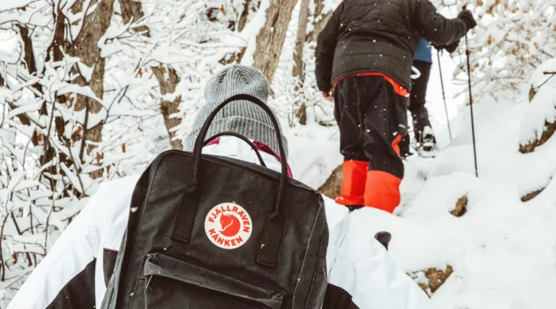 Titelbild Fjällräven
