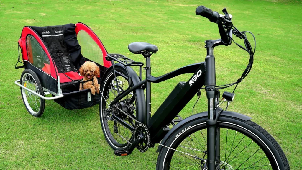 ein Fahrrad mit einem Fahrradanhänger, wo ein Hund drin sitzt