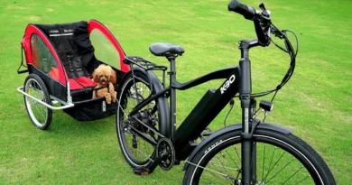 Titelbild Fahrradanhänger