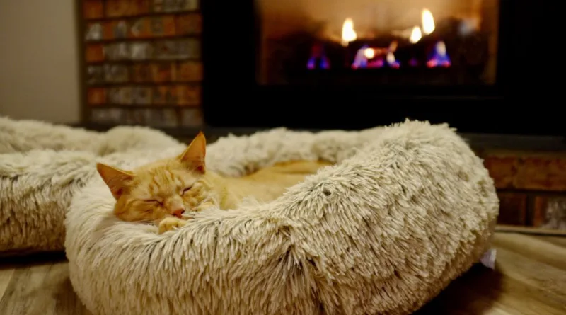 Titelbild Heizlüfter 2025