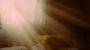 Staub und Hundehaare – so hilft ein Luftreiniger