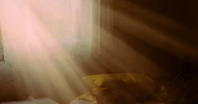 Titelbild Luftreiniger