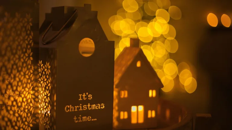 Alternative Weihnachtsbäume – modern, nachhaltig und vielseitig