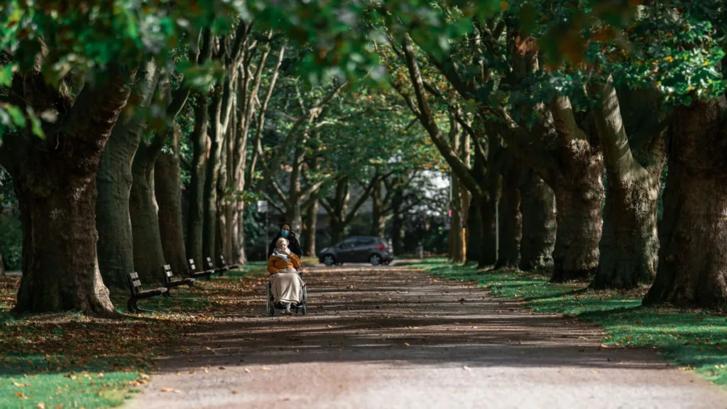 Eine Baumallee mit einer Rohlstuhlfahrerin, die geschoben wird. Ein Beitragsbild im Text bei Saugnapf-Haltegriffe