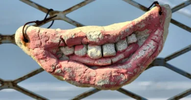 Zahnprothesen mit Ultraschall reinigen – Technik, Anwendung und Alltag ein lächelnder Mund aus Keramik hergestellt an einem Zaun hängend