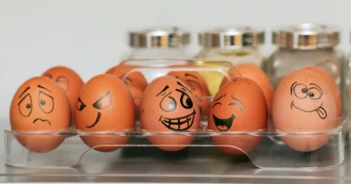 braune Eier in einer Kühlschrankschale, die mit verschiedenen Gesichtern angemlt sind