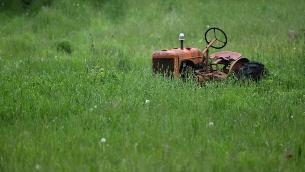 ein alter Traktor steht verrostet im hohen Gras