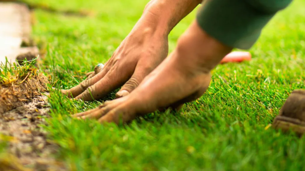 zwei Männerhände tasten einen Rasen ab