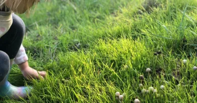 Manuelle Rasenlüfter im Überblick – Schuhe, Spikes und Hohlspoon erklärt ein Kind kniet auf einen grünen Rasen