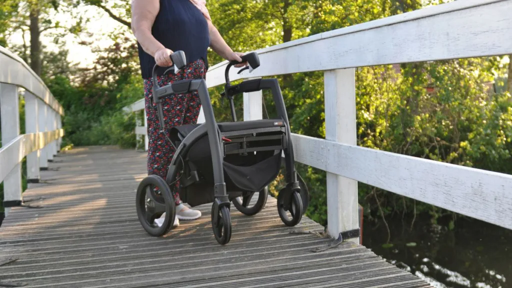 eine Frau steht mit einem Rollator auf einer Brücke