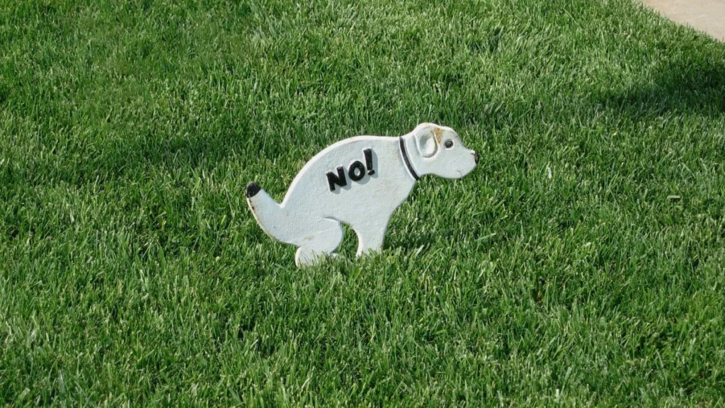ein Hund aus Holz auf dem das Wort "No!" gedruckt ist, steht auf einem Rasen
