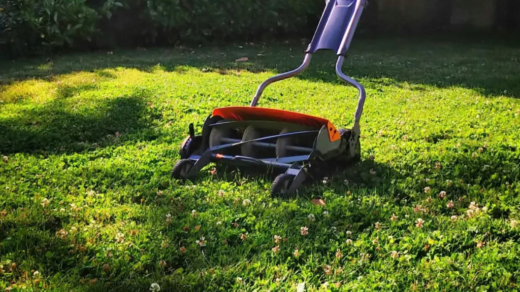 ein Handvertikutierer steht in hohem Klee auf einer Wiese