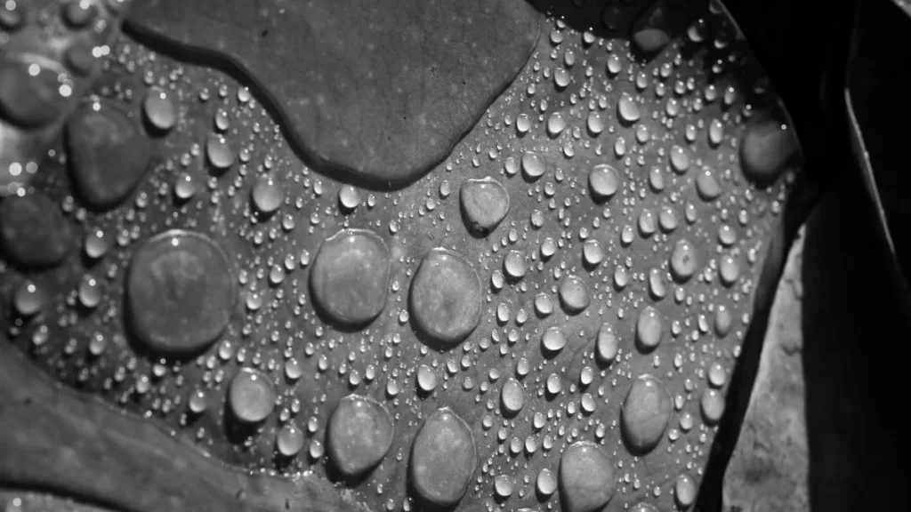 abperlende Wassertropfen auf einer Oberfläche
