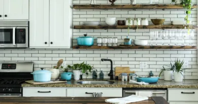 eine Landhausküche mit Regalen und Kräutern neben der Spüle