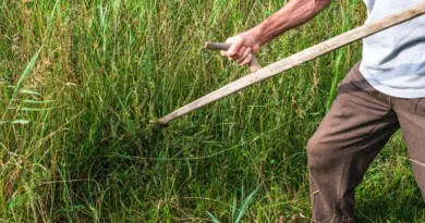 Elektro-Rasenmäher – Leistung, Schnittbreite und typische Fehlkäufe ein Mann arbeitet sich mit einer Sense durch hohes Gras