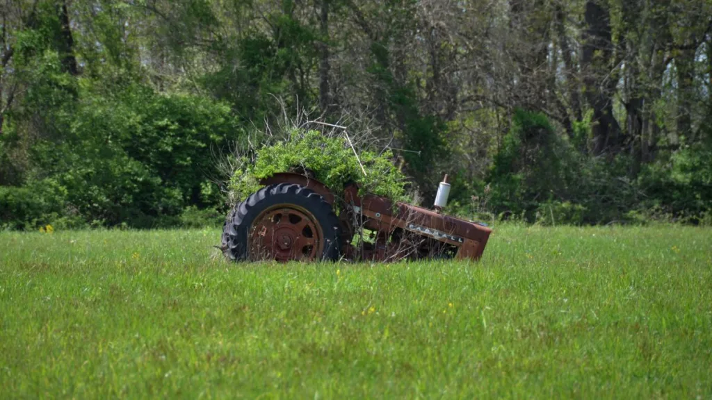 ein alter Traktor steht auf einer Wiese und ist nahezu komplett zugewachsen