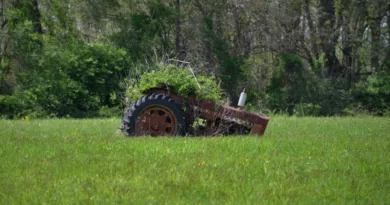 Akku-Rasenmäher im Überblick – Technik, Laufzeit und Systeme ein alter Traktor steht auf einer Wiese und ist nahezu komplett zugewachsen
