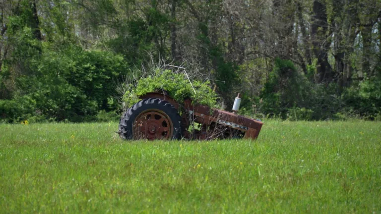 Akku-Rasenmäher im Überblick – Technik, Laufzeit und Systeme