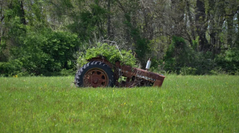 ein alter Traktor steht auf einer Wiese und ist nahezu komplett zugewachsen