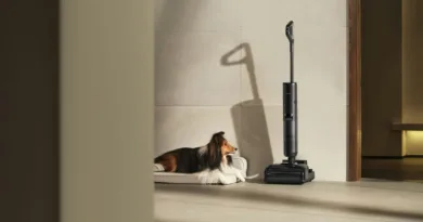 ein Collie liegt in seinem Körbchen und schaut einen Nass-Trockensauger an