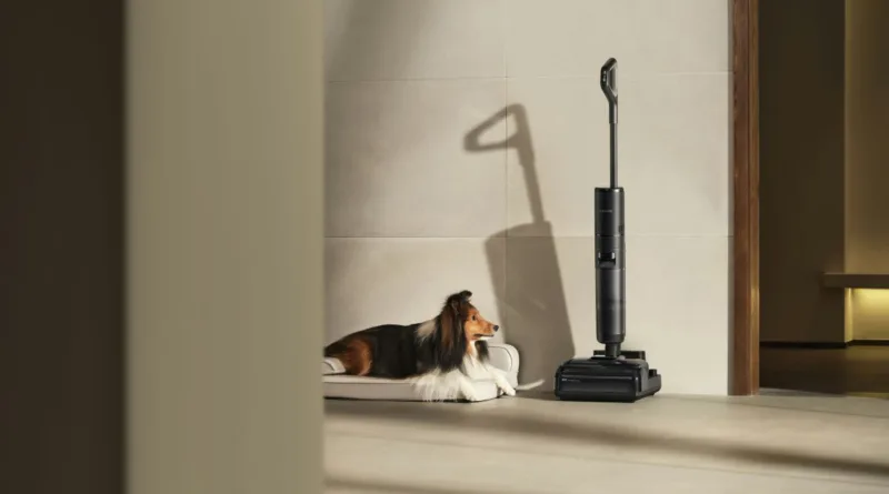 ein Collie liegt in seinem Körbchen und schaut einen Nass-Trockensauger an