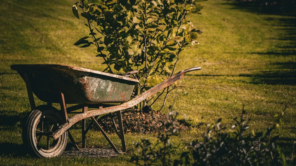 eine verrostete Schubkarre steht auf einem Rasen