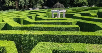 ein Labyrinth aus einer Hecke
