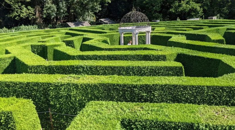 ein Labyrinth aus einer Hecke