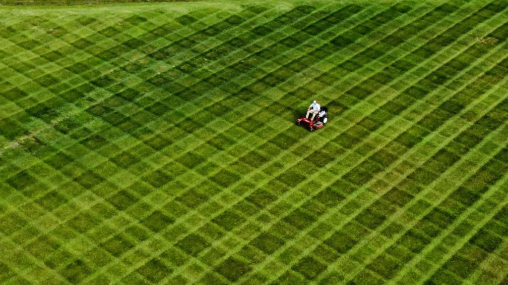 Muster in einer Rasenfläche