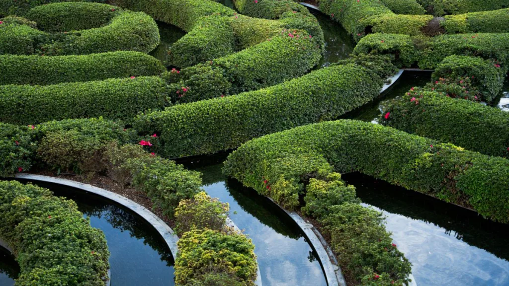 ein Wassergarten mit Hecken