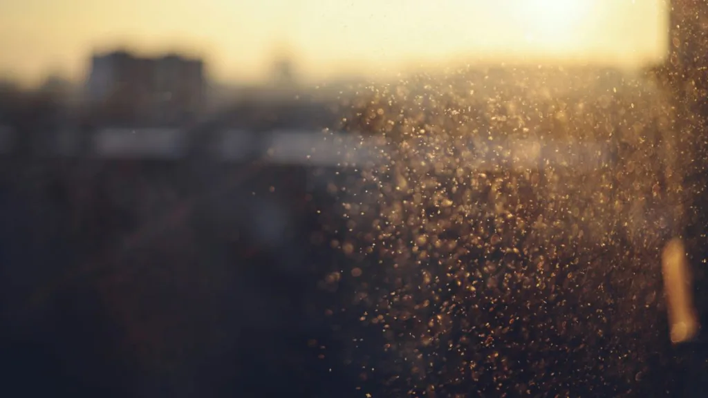 Staub im Sonnenlicht