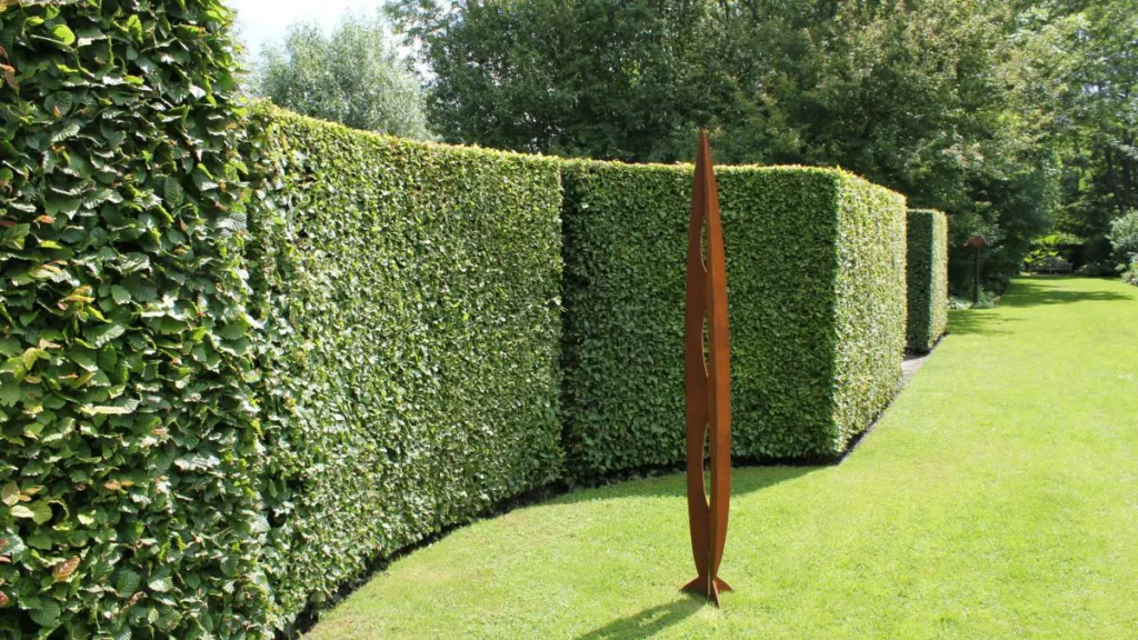 eine schöne Hecke mit einem Kunstwerk davor