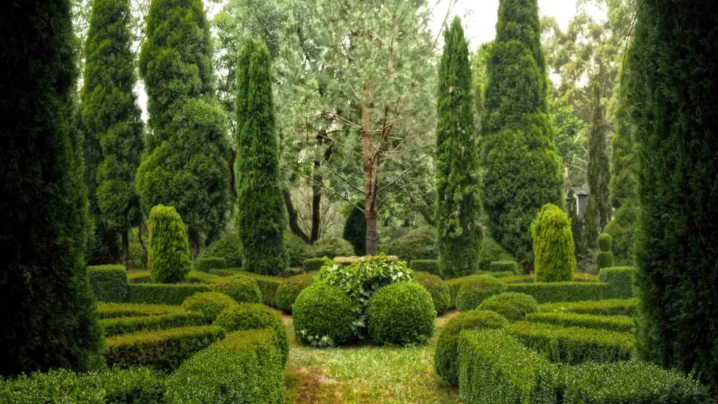 ein Park mit einer gepflegten ausgeprägten Hecke