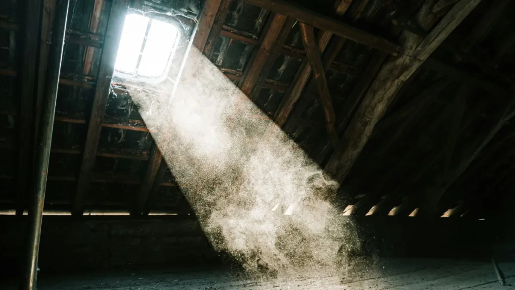 Licht scheint durch ein Dachfenster und im Lichtkegel ist sehr viel Staub