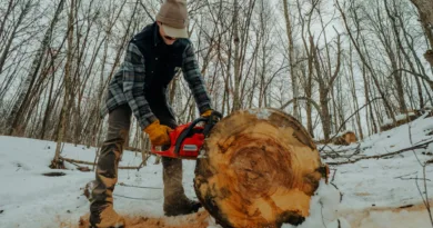 ein Mann sägt im Winter mit einer Kettensäge an einem großen liegenden Baum