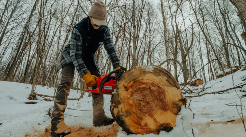 ein Mann sägt im Winter mit einer Kettensäge an einem großen liegenden Baum